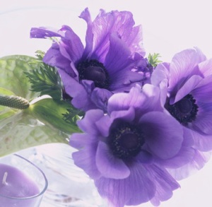 �v���[�X�g����